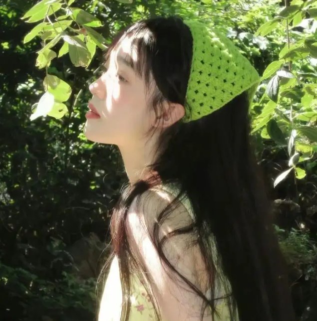 非枪人生第二季